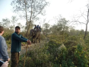 Chitwan National Park