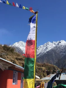 Snowview trek expedition